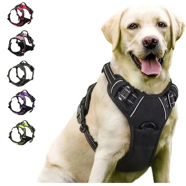 Dog harness leash and collar set complete walking kit matching nylon