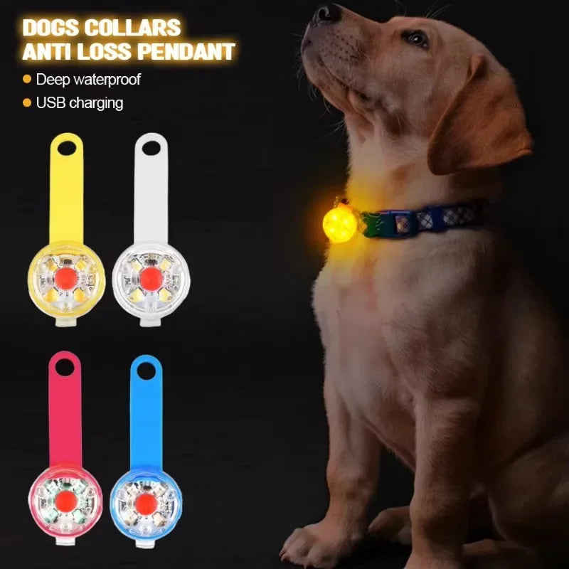 LED dog safety collar light USB rechargeable yellow