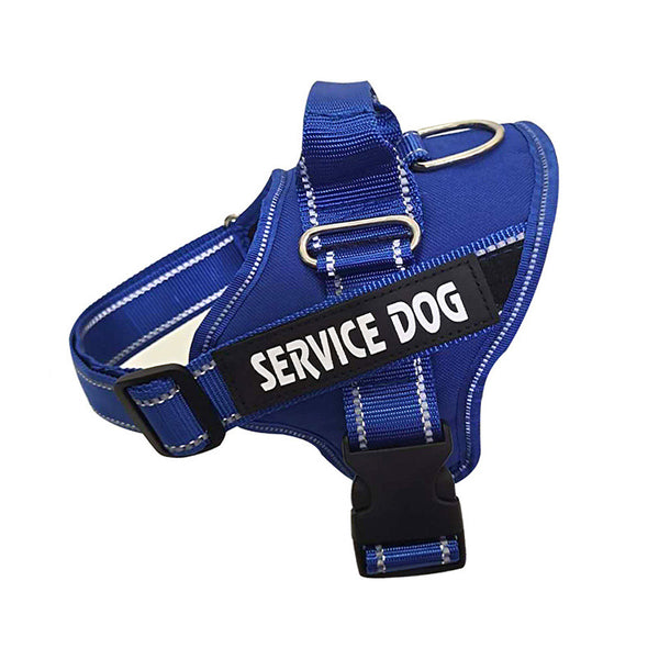 Personalized Dog Harness — Custom Engraved Chest Strap & ID Tag