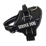 Personalized dog harness D-ring clip leash attachment point detail
