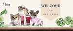 Personalized leather collar on golden retriever lifestyle park walk