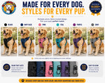 No-Pull Dog Harness reflective strips night safety visibility close up
