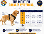 No-Pull Dog Harness padded chest plate dog comfort detail