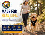 No-Pull Dog Harness front view on dog — Big Paw Baby's front clip reflective harness