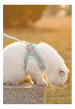 Reflective mesh dog harness vest lifestyle dog in park happy walk