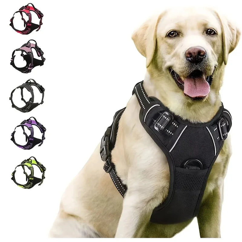 Dog harness leash and collar set complete walking kit matching nylon