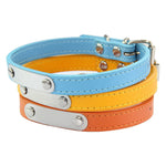 Personalized dog collar product flat lay with engraving example