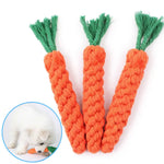 Carrot rope dog chew toy orange green tip detail design