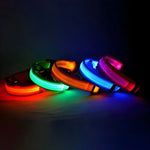LED glow dog collar dog wearing collar in dark night walk