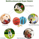 Dog treat ball dog playing and rolling toy lifestyle