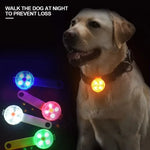 LED night walk safety light for dogs showing brightness