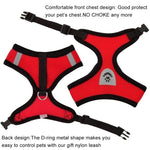 Mesh dog harness and leash set product flat lay complete set view
