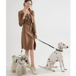 Large dog on colorful rope leash showing tensile strength and control
