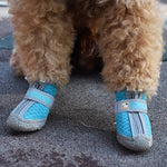 Dog wearing warm winter boots on snow showing paw protection