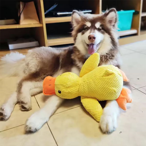 Stomping duck dog toy multi squeaker plush chew large dog entertainment