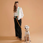 Solid metal clip hardware on braided dog leash durable and reliable