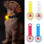 USB rechargeable LED pet safety light on dog collar at night