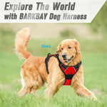 Dog harness leash and collar set hardware metal clasp close up