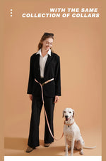 Colorful braided leash as gift for dog parent premium quality