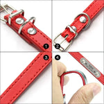 Personalized dog collar color options pink blue black brown