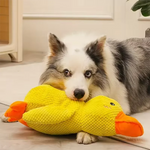 Comfort duck dog toy product gift ready white background shot