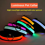 LED glow dog collar battery life indicator and charge time specs