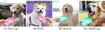 Portable dog water bottle carabiner clip attachment to bag