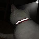 Personalized reflective collar multiple color options flat lay