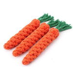 Carrot rope dog chew toy size comparison to dog paw