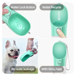 Portable dog water bottle dog drinking from tray outdoors