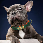 Personalized leather collar free engraving color options brown tan
