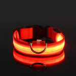 LED glow dog collar flashing vs steady light mode demo