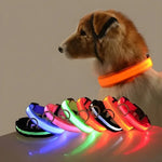 LED glow dog collar rechargeable USB night safety light up flashing collar