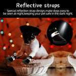 Winter dog boots flat lay set of 4 product view with sizing