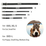 Personalized dog collar sizing guide XXS to XXL chart