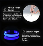 LED glow dog collar safety visibility night road car headlights