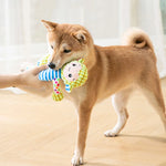 Squeaky plush dog toy dog playing with fox character toy