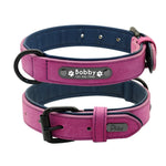 Personalized leather dog collar on medium dog lifestyle walk