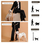 Braided rope leash loop handle comfortable grip for daily walks