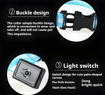 LED glow dog collar lifestyle dog running in dark park glowing