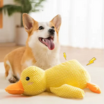 Stomping duck dog toy product flat lay gift-ready white background