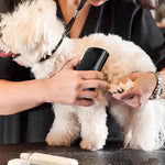 Dog deshedding brush in use on golden retriever removing loose fur