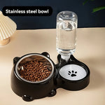 Automatic pet feeder and water dispenser used with cat