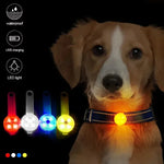 Clip-on LED dog collar light showing three flash modes