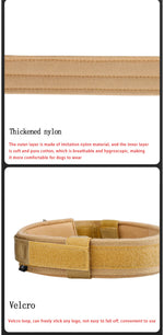 Tactical dog collar stitching and nylon webbing durability test