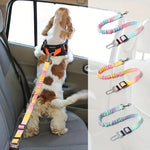 Dog car safety belt in use with dog in car back seat