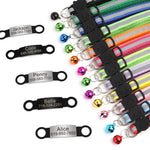 Personalized reflective collar dog wearing night walk safety lifestyle