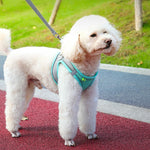 Reflective mesh dog harness vest lightweight for summer use