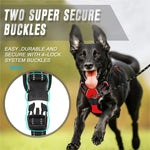 Dog harness leash and collar set size chart and fit guide