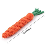 Carrot rope dog chew toy dog tugging on toy in play